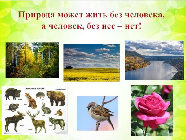 Любовь к природе