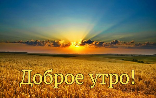 Доброе утро стихи