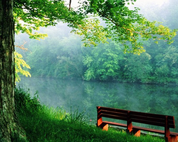 Спокойствие природа