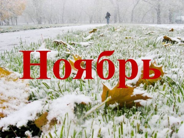 Ноябрь месяц