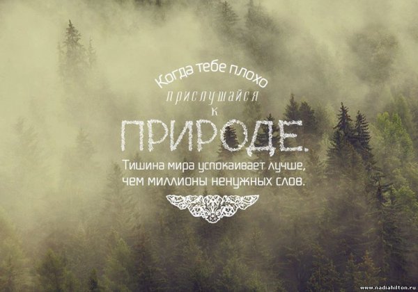 Афоризмы о природе