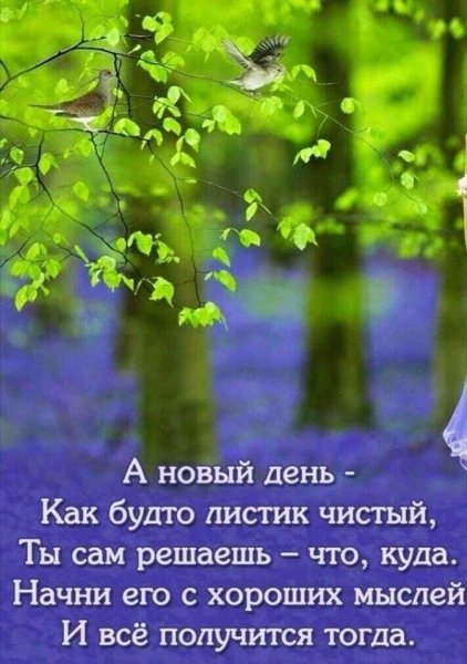 Новый день цитаты