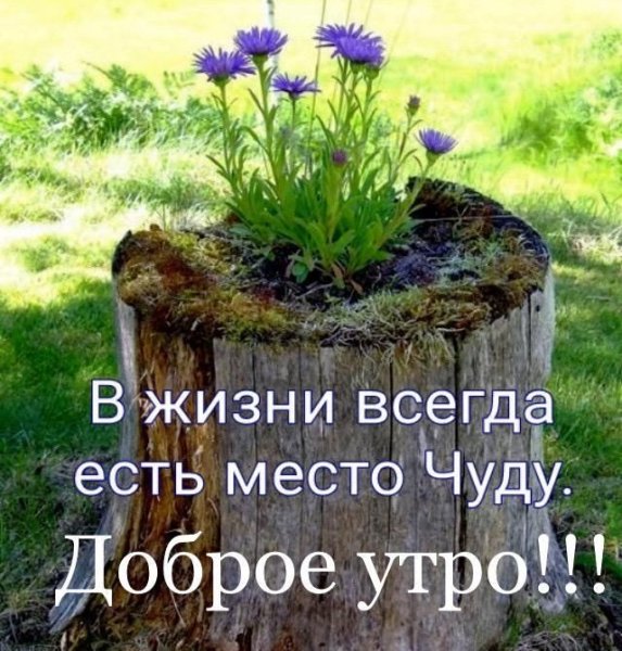 Доброе утро жизнь
