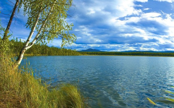 Озеро Осиновое Ульяновск