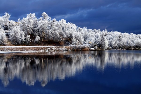 Красота природы зимой