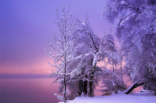 Красивые зимние пейзажи природы