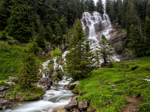 Природа лес река горы водопад