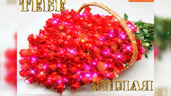 Букет роз с пожеланиями