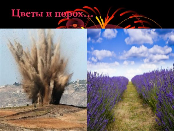 Цветы и порох литературно-музыкальная композиция