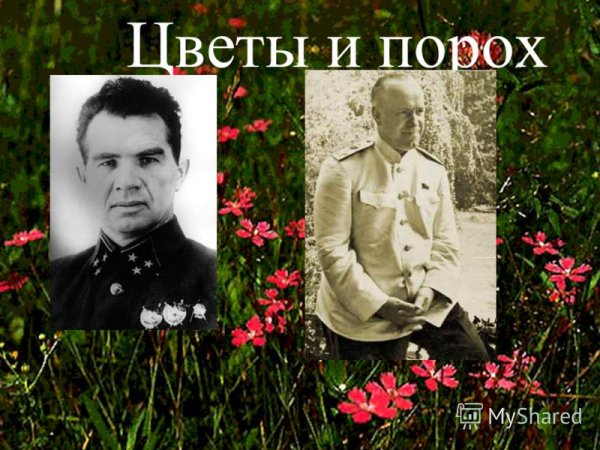 Цветы и порох литературно-музыкальная композиция