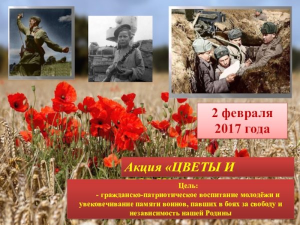 Сирень символ Победы в Великой Отечественной