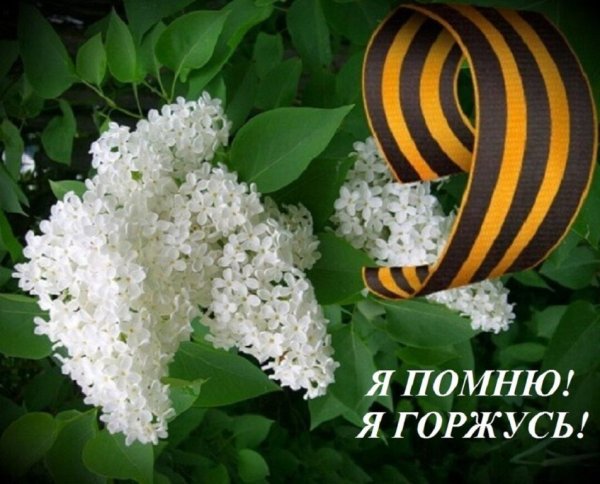 Цветок горит