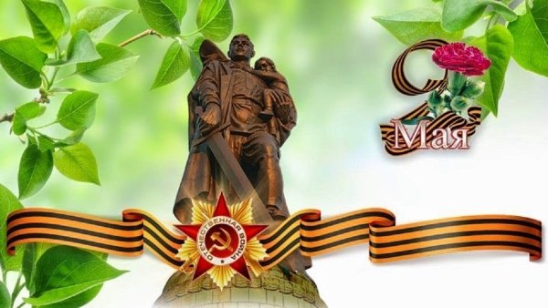 Цветы к 23 февраля на прозрачном фоне