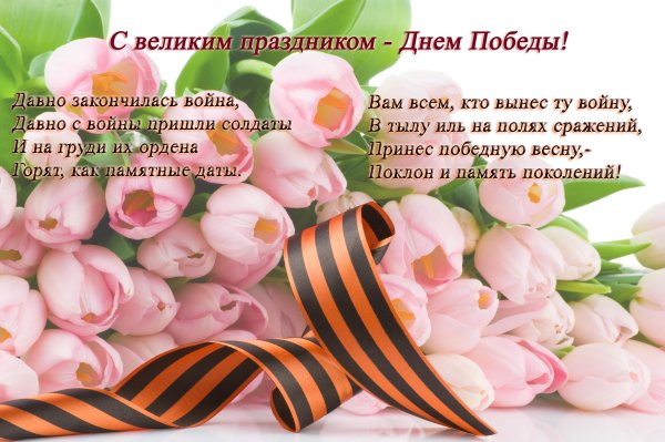 Патроны 16 калибра с солью