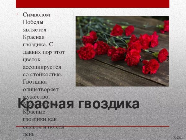 Букеты на 23 февраля из цветов