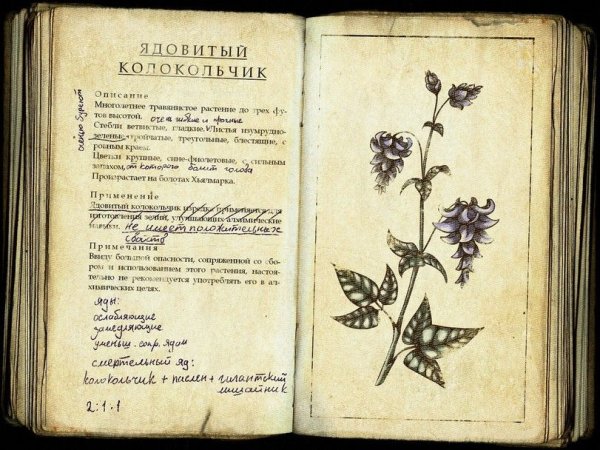 Что означает Георгиевская лента