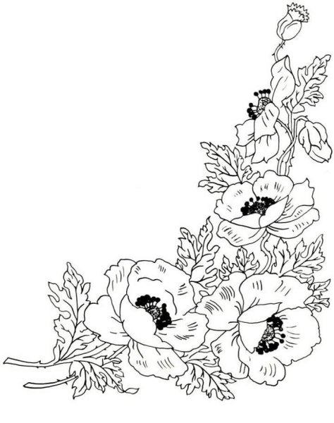 Рамка из цветов раскраска