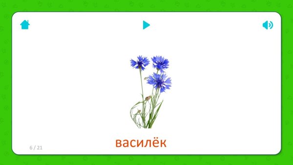 Васильки карточки для детей