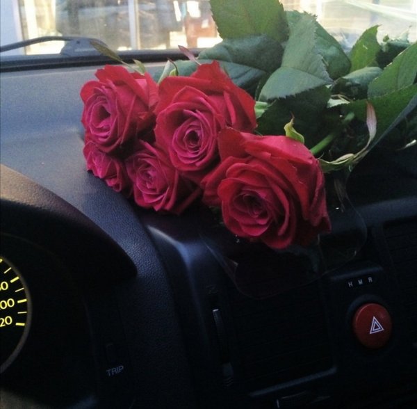 Цветы в машине на сиденье (76 фото)