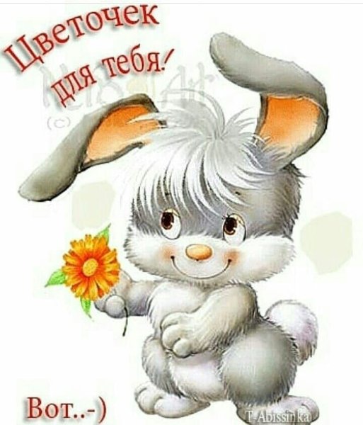Забавные цветочки