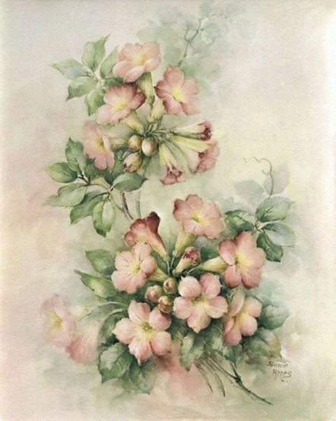 Флоренс Лонгпре