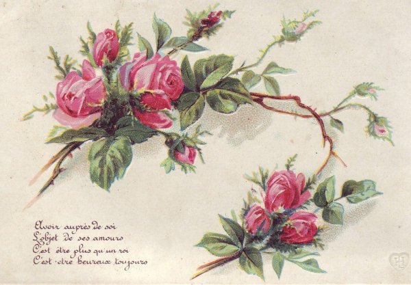 Анютины глазки Vintage