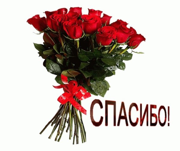 Фото спасибо