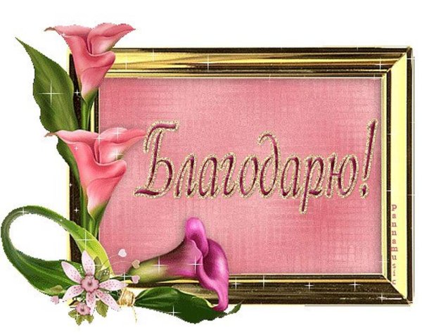 Гифы с благодарностью
