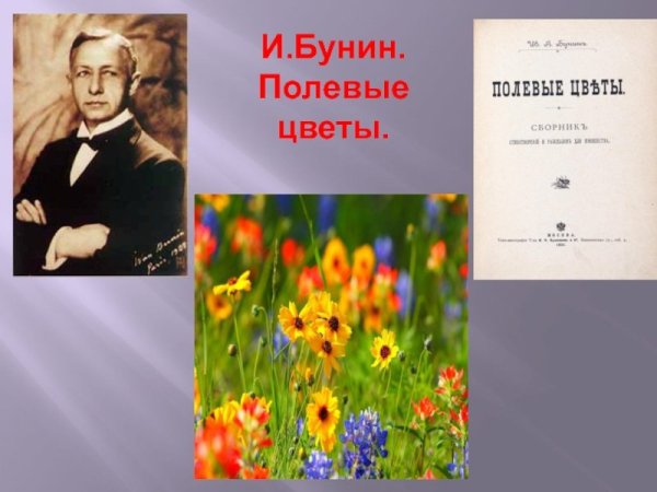 Иван Алексеевич Бунин полевые цветы
