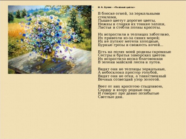 Рисование полевые цветы для детей