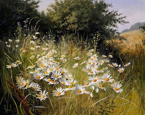 Художник Diane Demirci