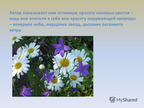 Ярошенко полевые цветы