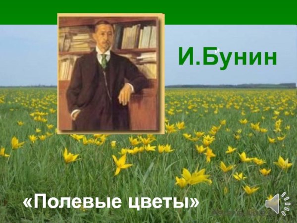 Иван Алексеевич Бунин полевые цветы