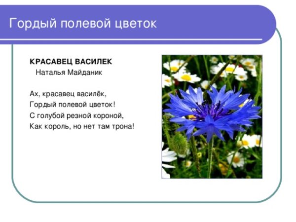 Поле ромашек акварель