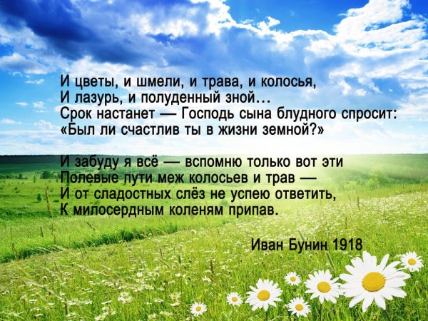 Полевые цветы Бунина