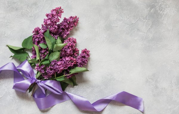Букет сирени