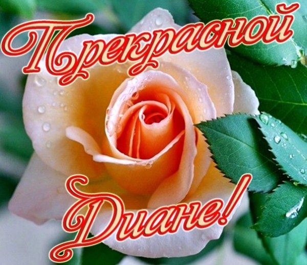 С днём рождения Диана