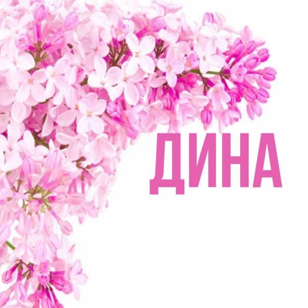 С днём рождения Дина