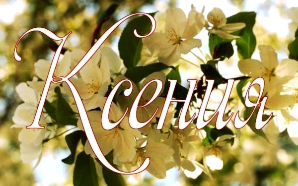 Дина картинки с именем