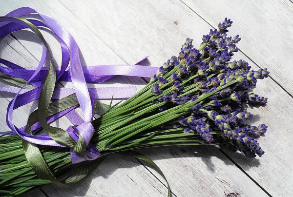 Цитронелла и Лаванда