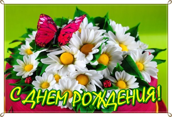 Красивый букет цветов