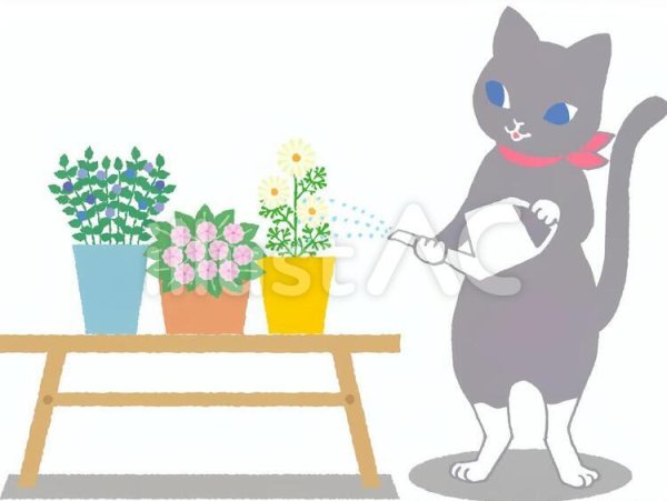 Кошка поливает цветы для детей