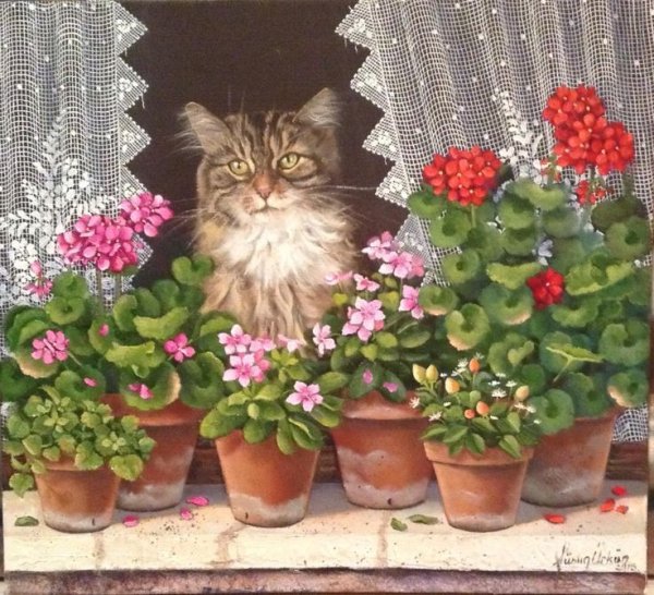 Герань и кот