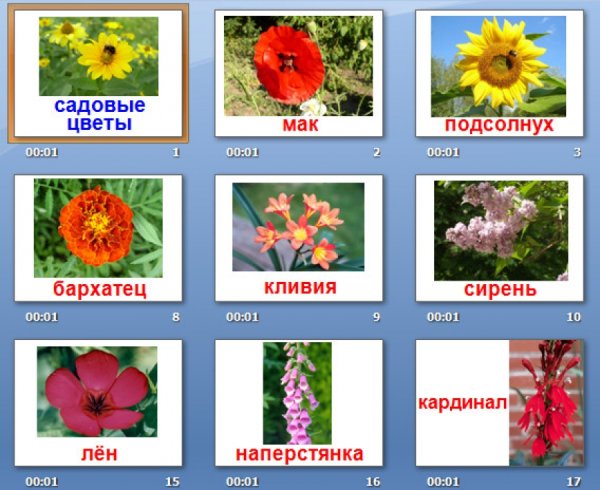 Названия цветов для дошкольников
