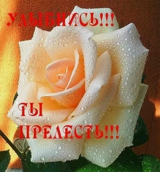Цветы для тебя