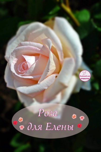 Поздравления с днём рождения Елене