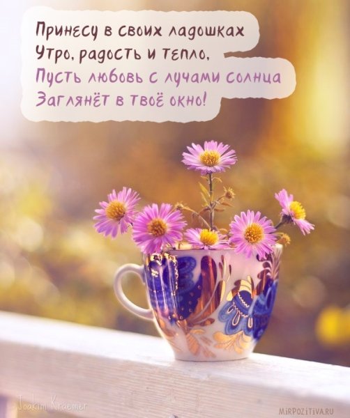 Доброе утро человечек который особое место занимает в Моем сердце