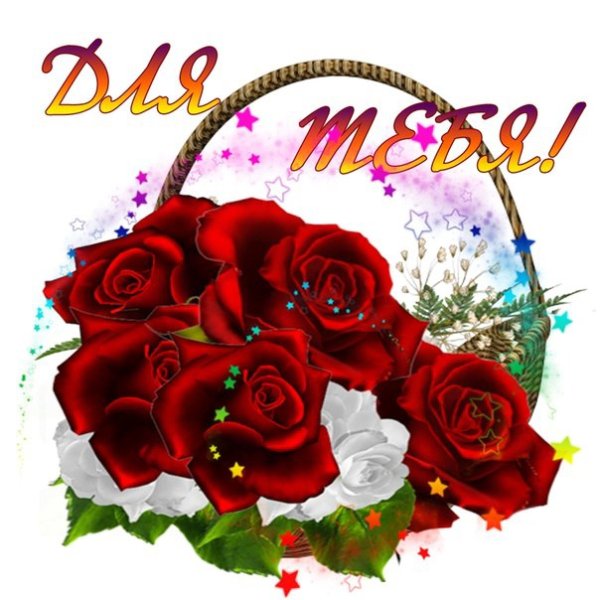 Цветы для Люси