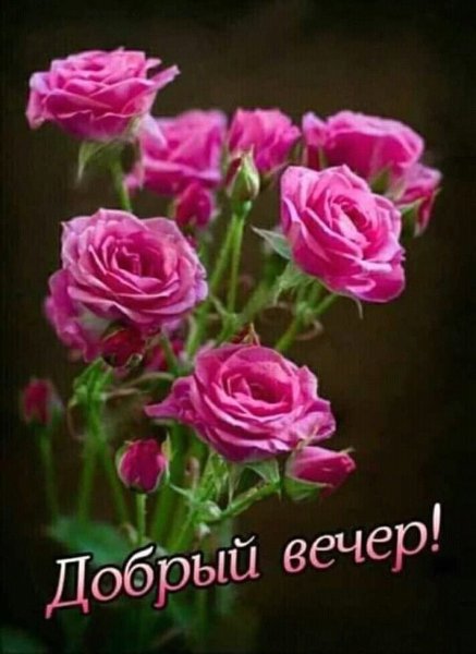 Добрый вечер цветы