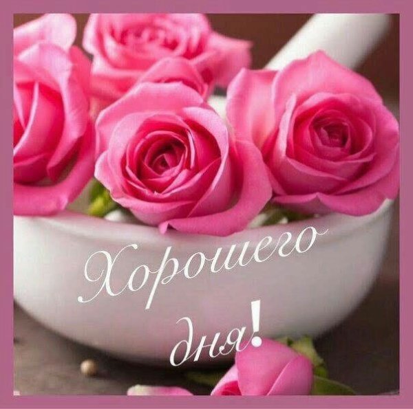 Доброе утро цветы